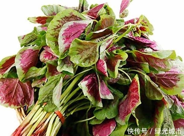防癌|埋没在农村的防癌野菜,补钙比菠菜还厉害10倍,老少皆宜!