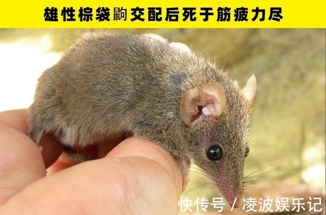 彩虹|冷知识普及:在这个世界上,所存在着的7个惊奇事实