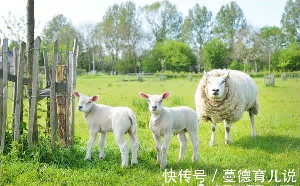 肖羊|“羊羊羊”未来30年的命运：尤其是67年、79年的，下辈子指望谁？