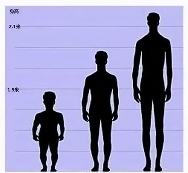 身高|雷纳尔：前半生是1米22的侏儒，后半生是2米16的巨人，他经历了啥