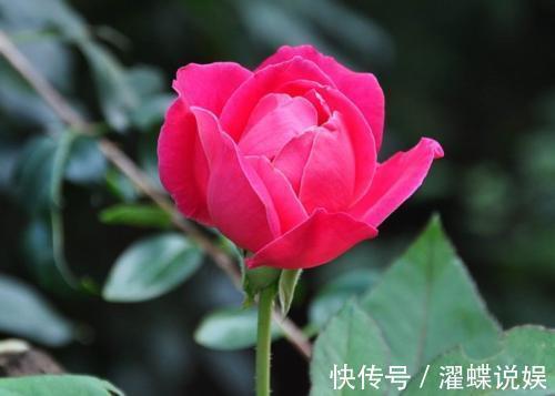 夫妻|只生一个孩子的的夫妻,到老了以后,生活无外乎都是三个样子