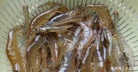 水煮虾时,无论鲜虾还是冻虾,3要素不能少,保证虾肉鲜嫩无腥味