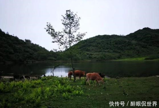 这个地方风景不输于九寨沟还不收门票，马上要开发，再不去就晚了