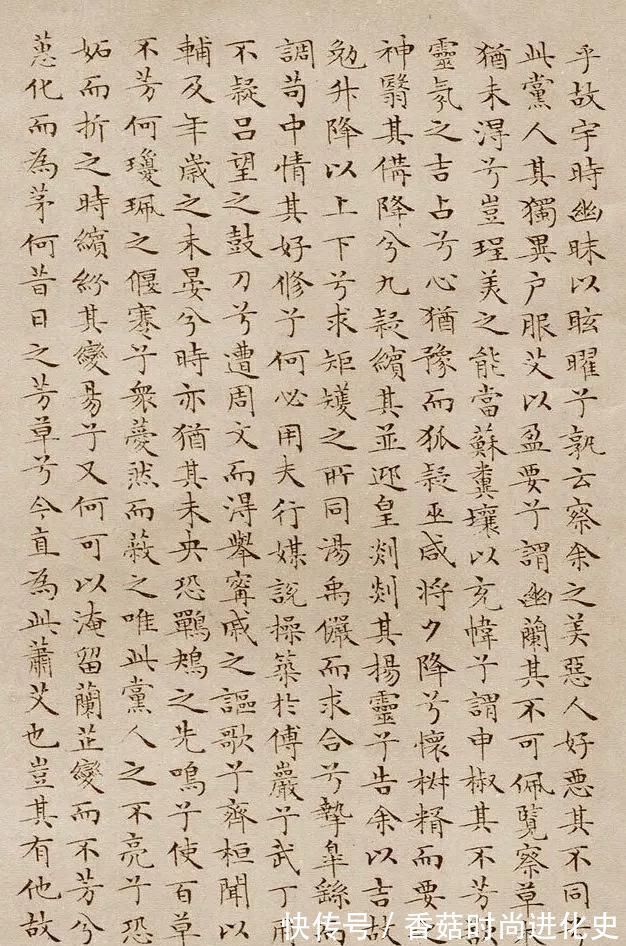 离骚经$这小楷不足0.5厘米,出自一位86岁老人之手,一丝不苟