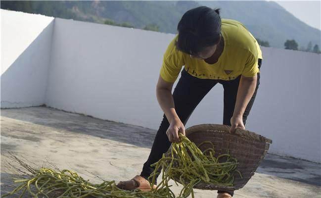 保鲜|农村大妈把几十斤豆角这样做，保鲜三年稀罕土物比牛羊肉珍贵