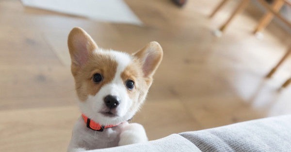 榻榻米|这是我见过最清新干净的家,如果再装修,我也要这样简简单单!