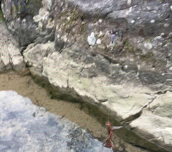 钓友|这是娃娃鱼吗山涧钓鱼,水底全是“四脚兽”,一小时钓了十几条!