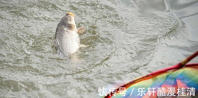 钓鱼这么多年,被70岁老大爷,给上了一课