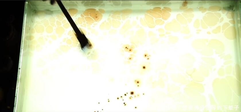 水中|在水中滴入六滴颜料,随意勾勒了几下,盖上白纸成为无价的艺术