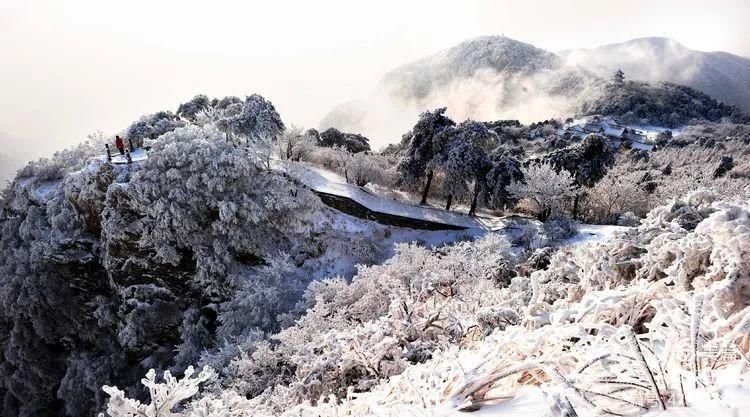 亮相|嵩山雪景亮相央视！