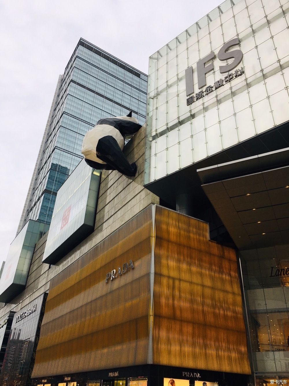 沙滩|游公园，骑单车逛成都，打卡最炫双子塔灯光秀