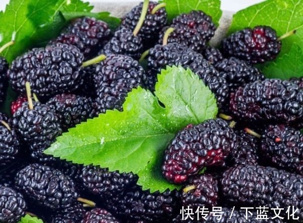 营养物质|想要身体好,不妨多吃3种食物,排毒养颜,提高免疫力!