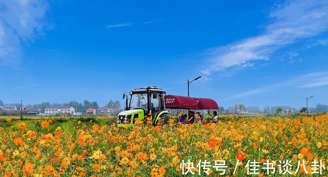 盘点|盘点景区里个性十足的旅游观光车，真是千奇百怪，你都坐过几个？