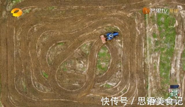 《向往的生活》又爆了两个热搜，节目的“内涵”，你看懂了吗？