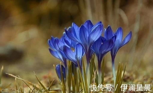 挽回|五天后，烟雨蒙蒙，爱如潮水，虽有无奈，挽回前任，执手相恋