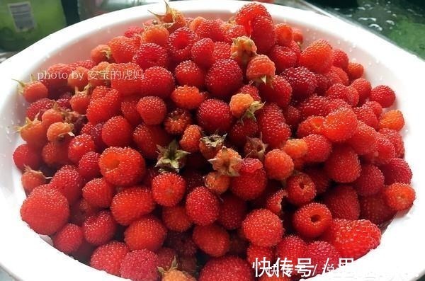 補血|補氣血需要多吃這水果，補血也養發，氣血足，頭發也烏黑發亮！