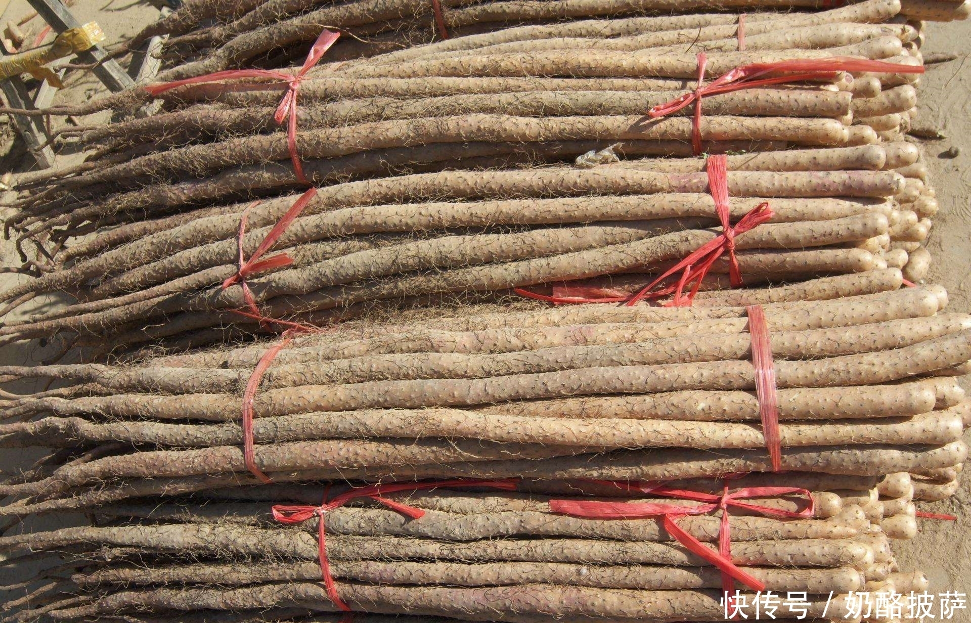 身体|肺好不好,看身体5个表现!远离三烟,多吃三白,肺会慢慢变好