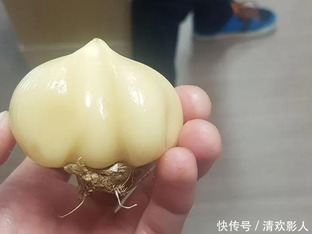 吃牡蛎吃出珍珠!专属于吃货的幸运时刻!