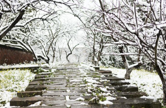 闫瑞英：37度的雪|青未了 | 教学楼
