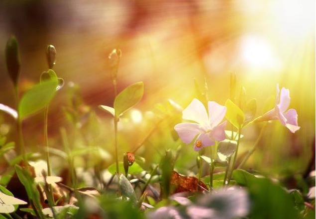 五谷杂粮|曝光坑惨中国人的5个养生误区！你以为在养生，其实是在折寿