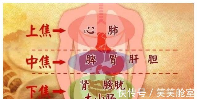 阴虚火旺|烦躁、焦虑、失眠、神经衰弱，试试每天用它煮水喝