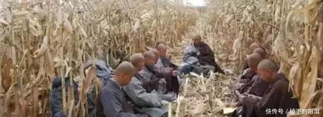 老年|中国最后一座真正的寺院:不设功德箱、禁止旅游!每天只吃一顿饭