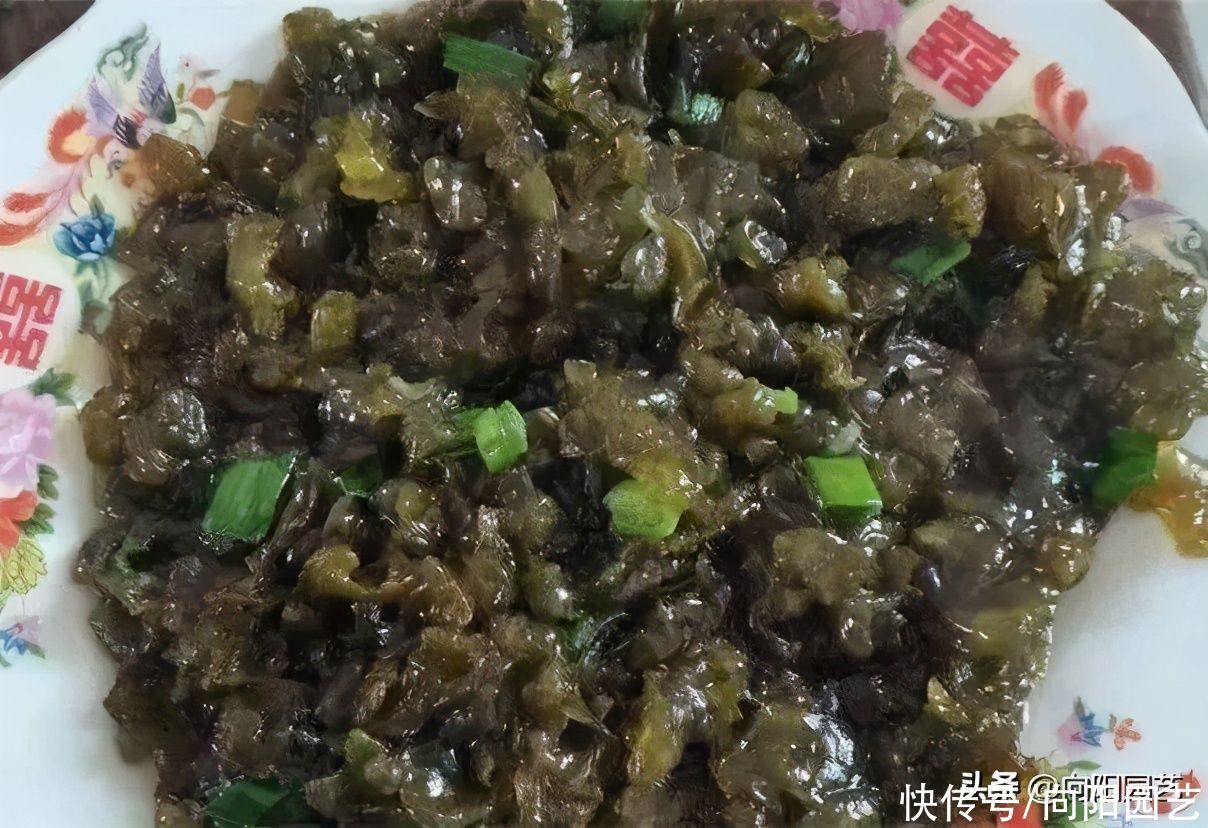 一场春雨过后，地上长出地皮菜，味道及其鲜美，清洗很麻烦