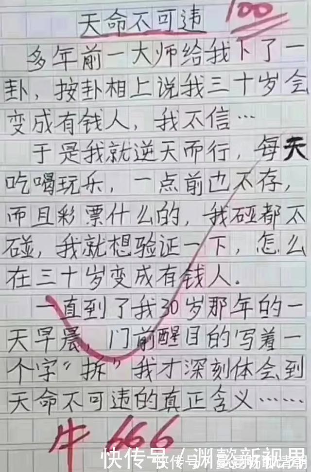 |小学生将作文写成了“段子”,老师哭笑不得,网友笑晕了