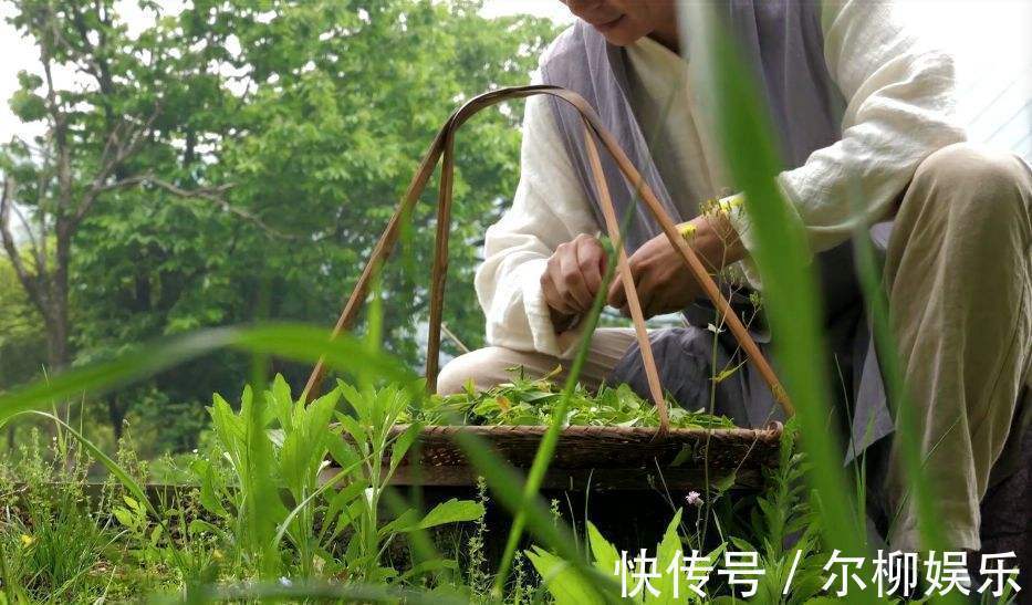 中药学|一味药,入三脏!治理生痰之源、储痰之器、聚痰之枢