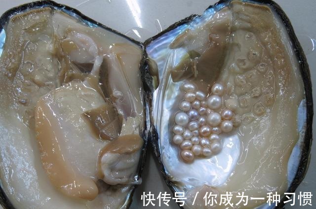 马贝@普及一下关于珍珠的小知识!