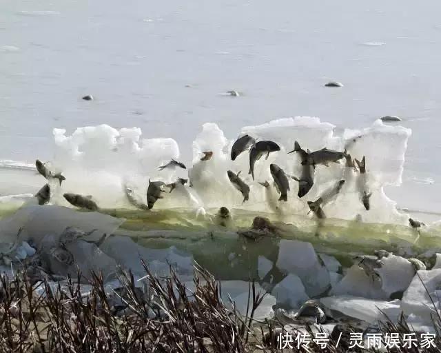 在翻手为云覆手为雨的大自然面前，人类太渺小了