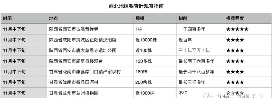 最佳|来了，全国赏银杏的最佳时间和地点汇总！