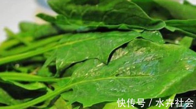 黄体酮|4物是天然的“黄体酮”,女人平时多吃,或许妇科病不会来找