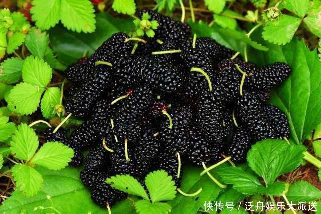 延缓衰老|女人开始衰老,有3个表现!少吃3物,多做3事,延缓衰老,更年轻