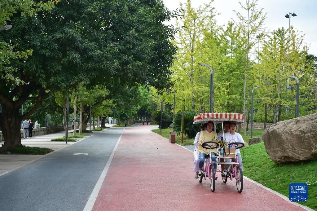 环湖绿道|重庆云阳：环湖绿道提升城市旅游休闲功能