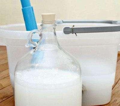 这东西|拖地的时候用点这东西,去污快又杀菌,一周不打扫都能干干净净