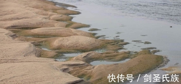 烂根|先弄清这3样土质的“特点”,后续养花配土才不会出错