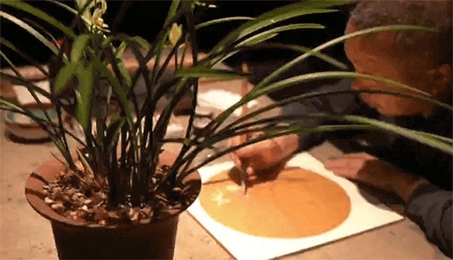 创造|集印猫签约艺术家陈湘波,创造生活更多可能性