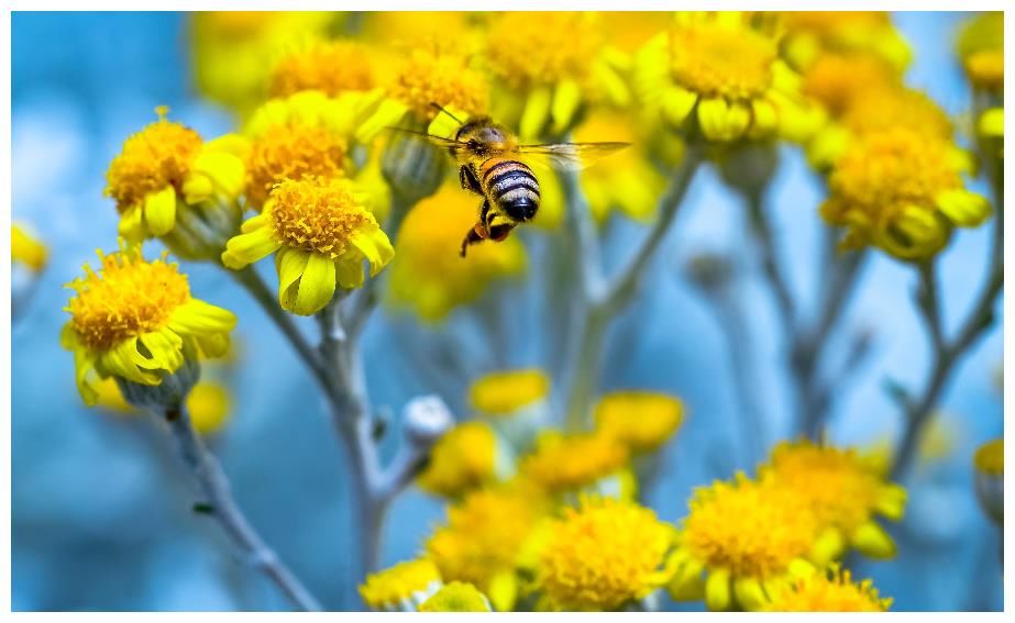 5月 爱情运来了 事业运也上涨 3生肖桃花灼灼 生活喜上眉梢 全网搜