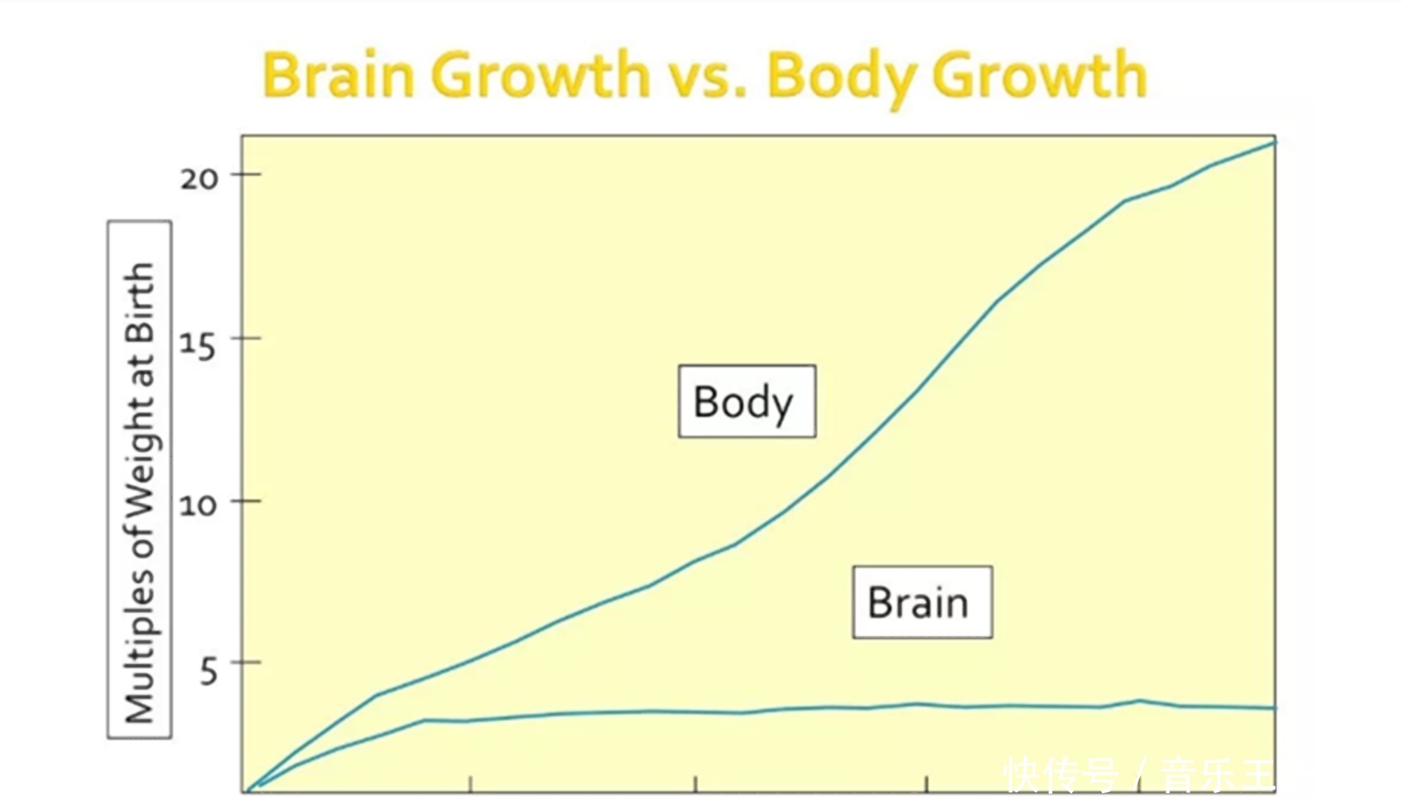 记忆|婴儿3岁前虽没啥记忆,但伤害会在大脑中形成创伤,影响他们一生