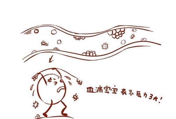 洋葱|心血管专家:平时多吃点它,清血管降血脂,赶走血栓!