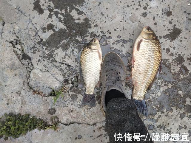 深秋季节转换，野钓鲫鱼钓深还是浅，钓近还是远？四个因素很关键