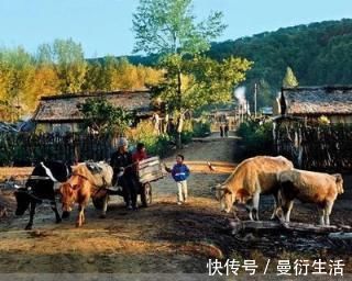 茅草庐|关于乡村的19首诗词那年村口那头牛，满载春风与自由