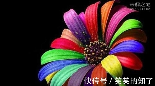 世界上有七色堇吗?为什么说它自然生长规律