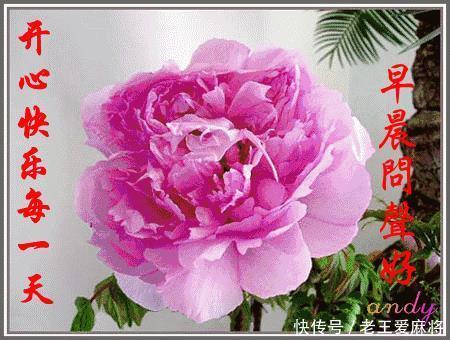 孤独|没有人喜欢孤独,但他们不喜欢失望