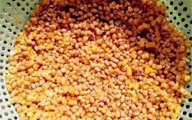 鱼儿|冬钓大鲫不要随便打窝,应该这样打,才是爆护!