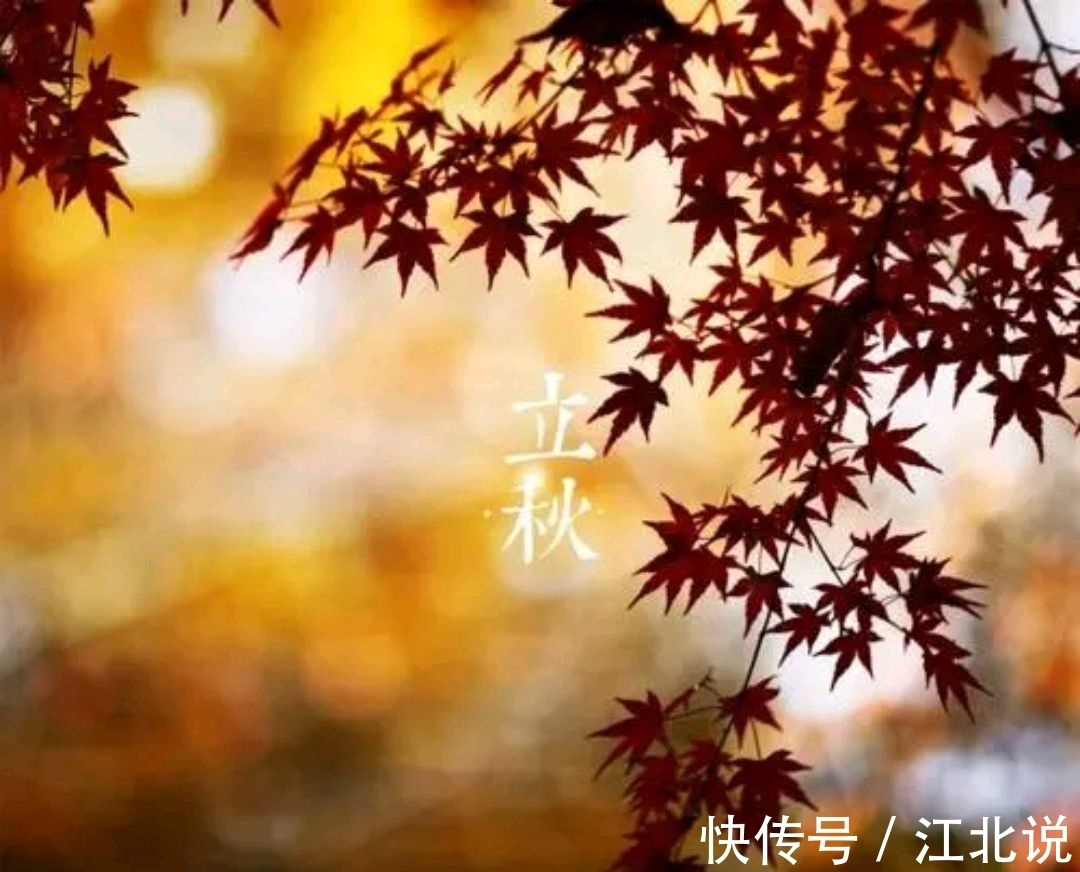 夏色|秋日七言上联:暮雨半窗收夏色,邀对