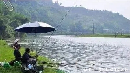 调漂|学会调漂你也是钓鱼老师傅