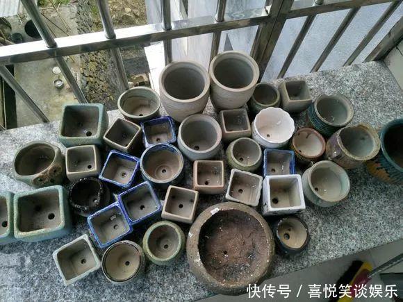 几十个高价花盆,被扔在垃圾桶旁,捡还是不捡?