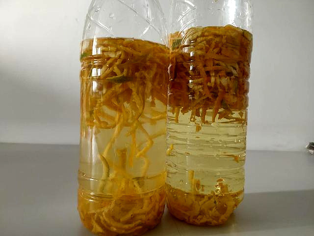 利用橘子皮做“橘子水”,喝了它以后,花儿会像打了激素般疯长
